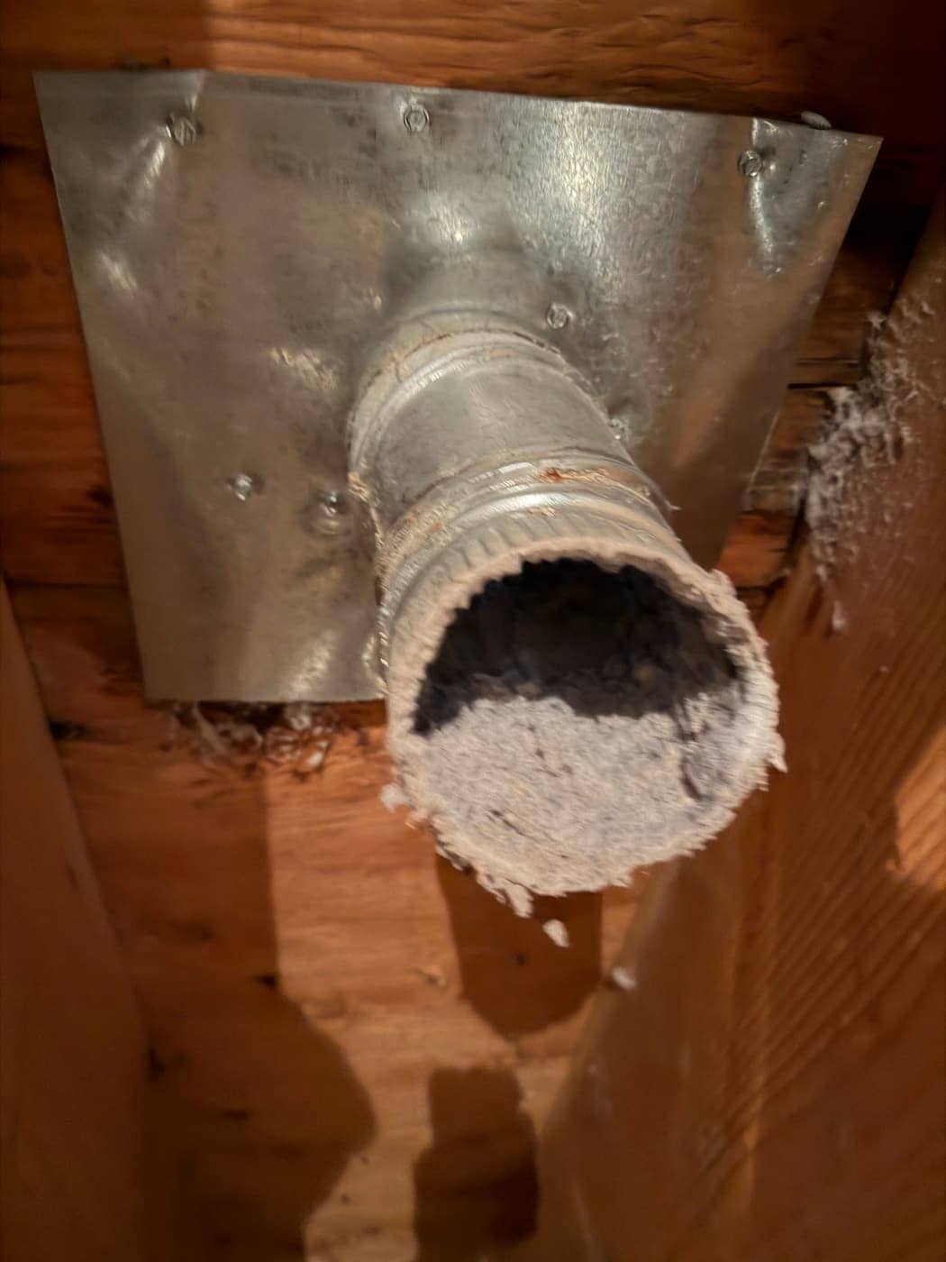 A dryer duct coming through a metal plate between wood framing, its open end clogged with lint.