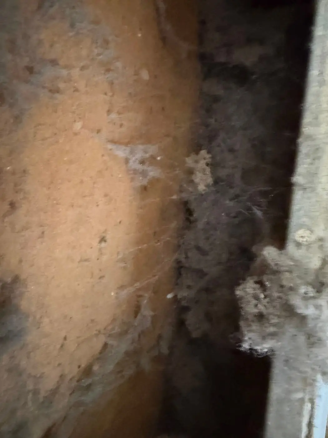 Lint and cobwebs clinging to the inside of a wall cavity next to a duct.